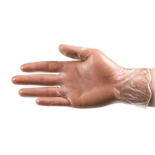 vinyl exam gloves large