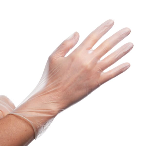 vinyl gloves powder free large