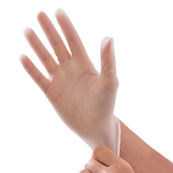 powder free vinyl gloves medium