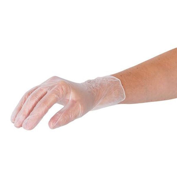 powder free disposable vinyl gloves for foodservice